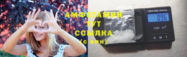 индика Зеленокумск
