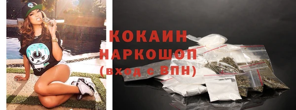 стаф Заводоуковск