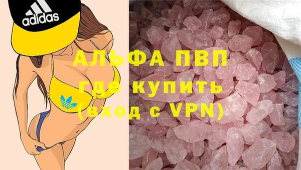 стаф Заводоуковск