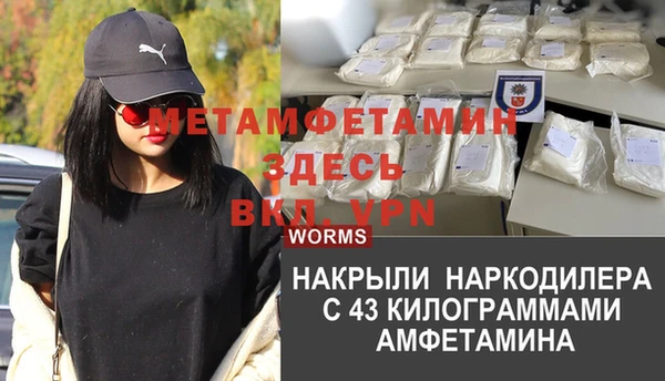 индика Зеленокумск