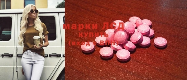 стаф Заводоуковск