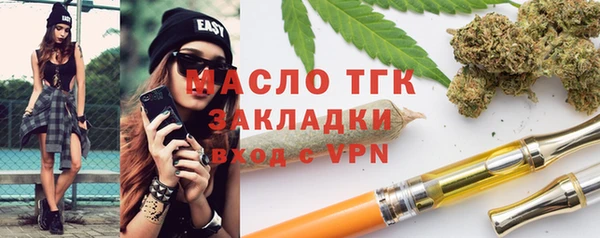 индика Зеленокумск