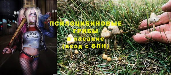 стаф Заводоуковск