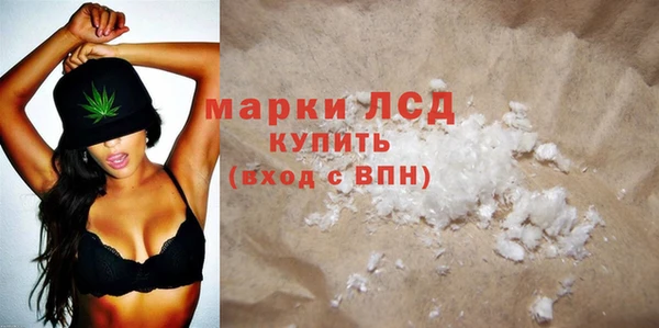 индика Зеленокумск