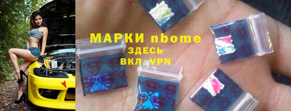 индика Зеленокумск