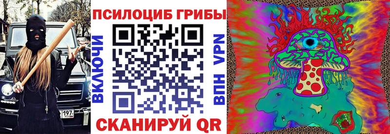 Купить закладки  Карасук  Псилоцибиновые грибы Cubensis 